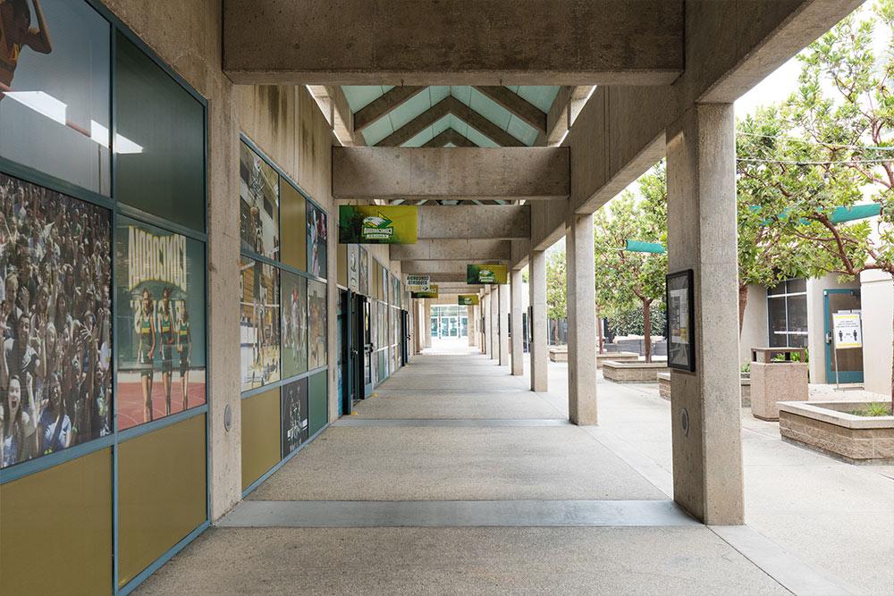 The Breezeway between the CU Arena and Hallerberg Center is lined with Eagle Athletics banners and images of our athletes. 